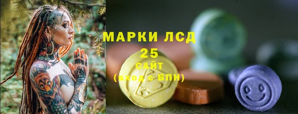 стаф Каменск-Шахтинский