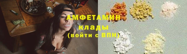стаф Каменск-Шахтинский