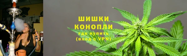 стаф Инта