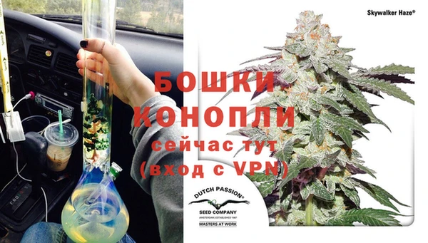 стаф Инта