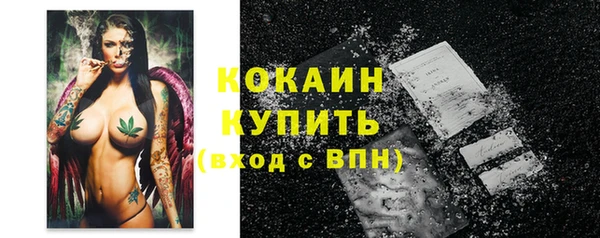 стаф Инта