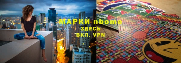 стаф Инта