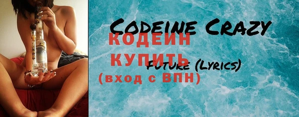 стаф Инта