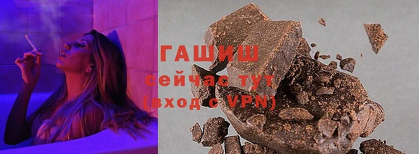 стаф Инта